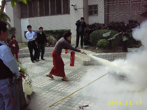 200807258167.JPG